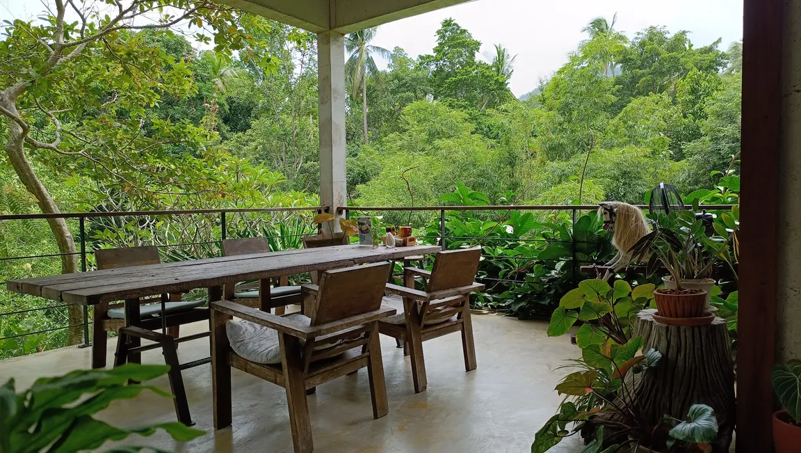 Baannairai farm & cafe