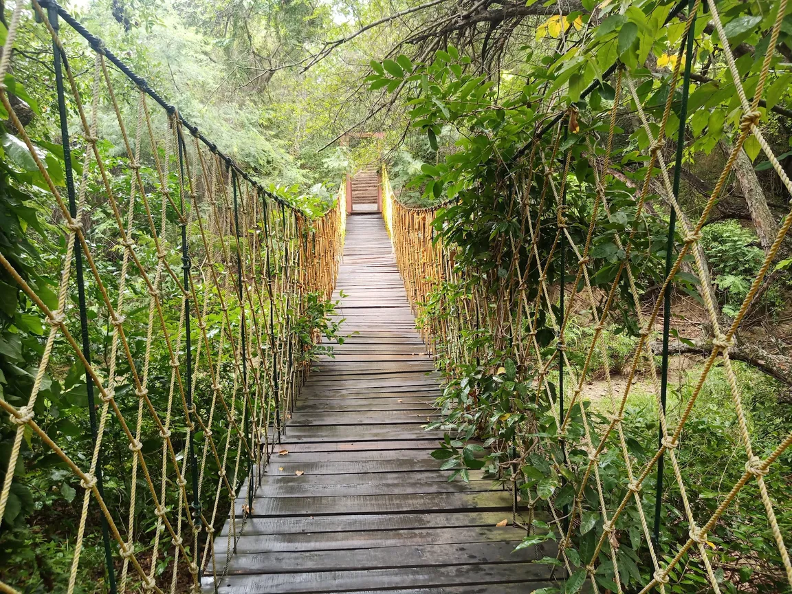 Puente colgante