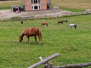 Rancho Panderoza