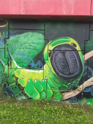 Graffiti