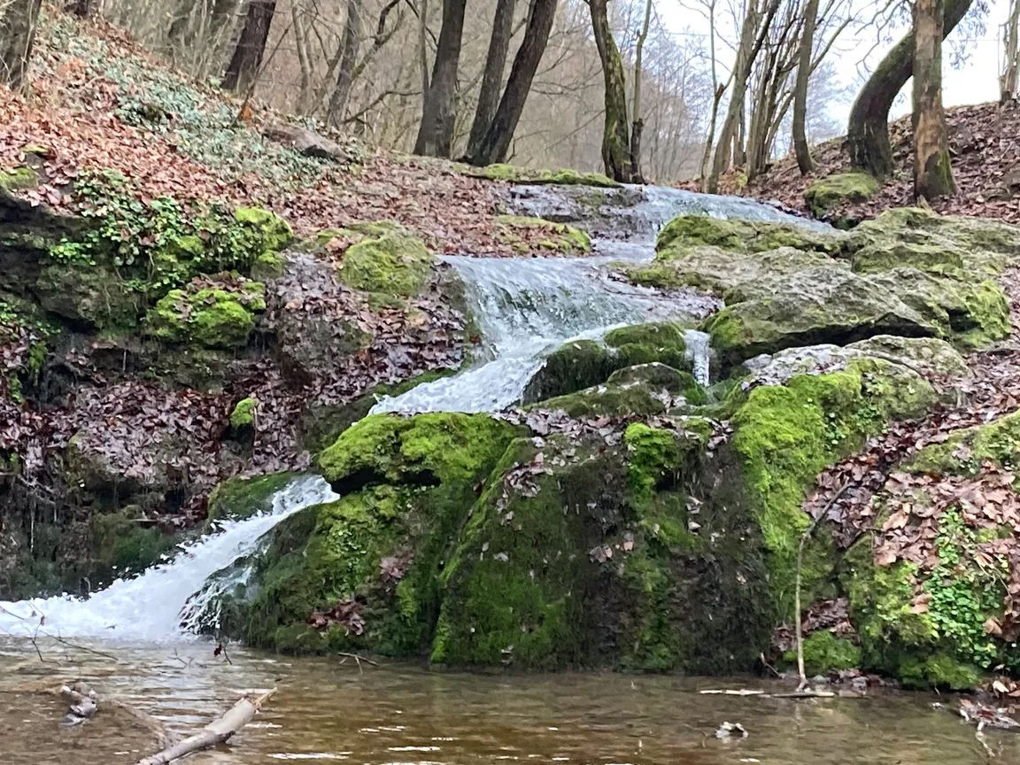 Brandysówka Dolina Będkowska