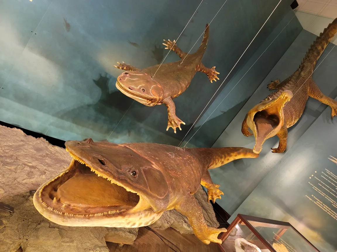 Muzeum Ewolucji w PKiN