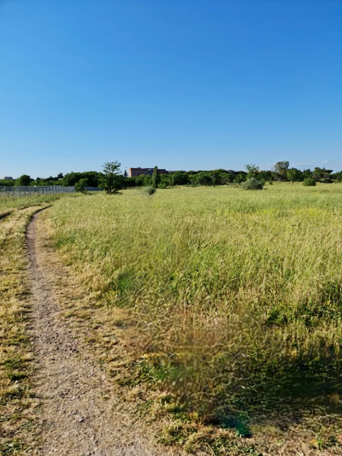Parco Archeologico di Centocelle