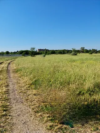 Parco Archeologico di Centocelle