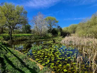 Farnham Park