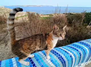 Xatt l-Aħmar Belvedere