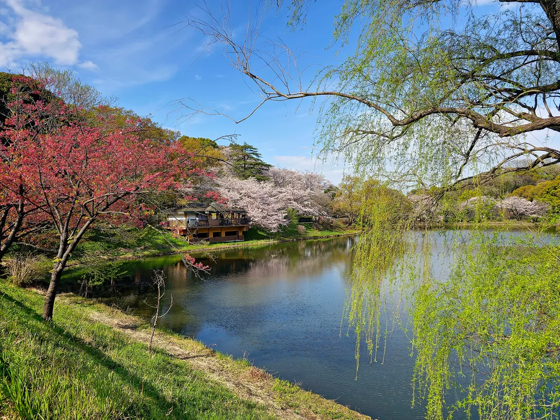 Mitsuike Park