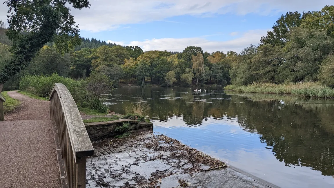 Cannop Ponds - Forestry England