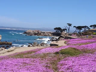 Lovers Point Park
