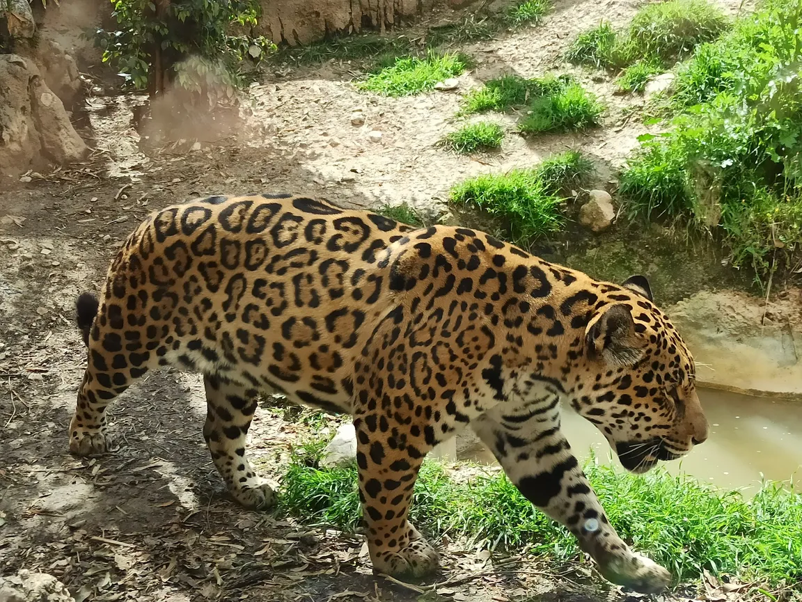 Terra Natura