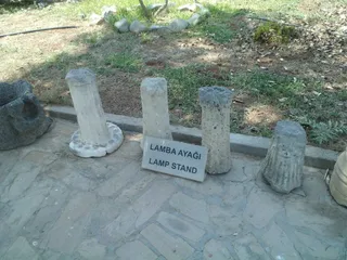 Kıbrıs Herbaryum ve Doğa Tarihi Müzesi