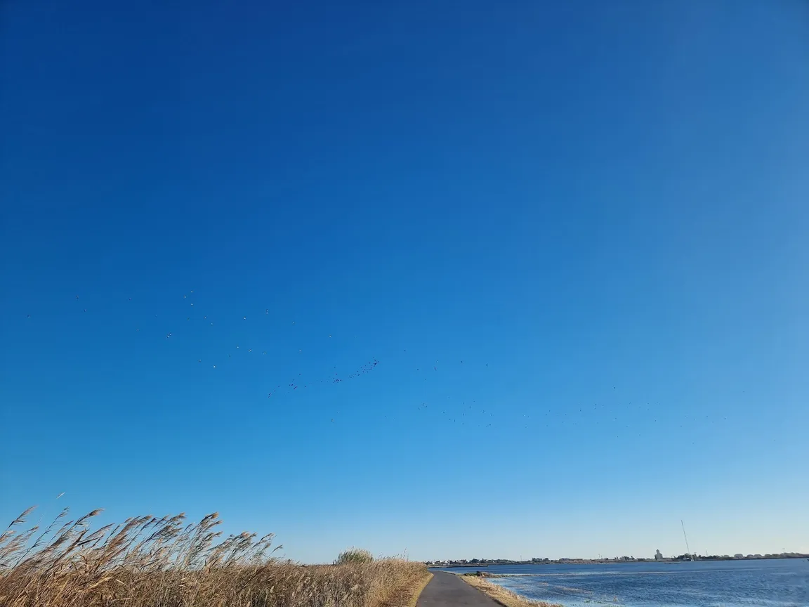 Parc Natural de l'Albufera