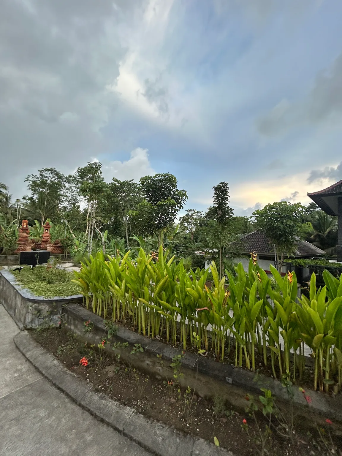 Bali Eco Farm ( Eco Activities | Family Friendly Activities | Outdoor Relaxation)