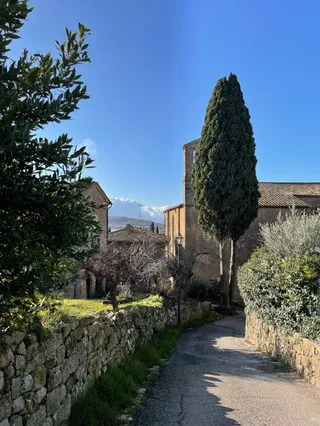 Ristorante Daria