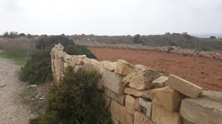Il-Mara