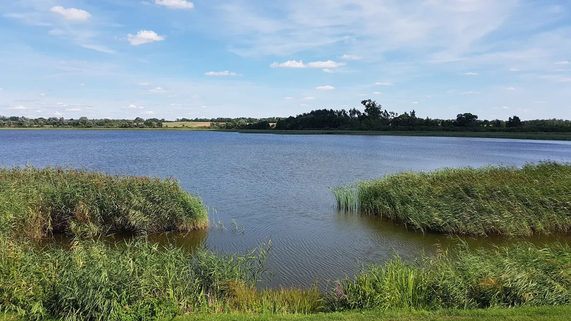 Wioska wczesnopiastowska