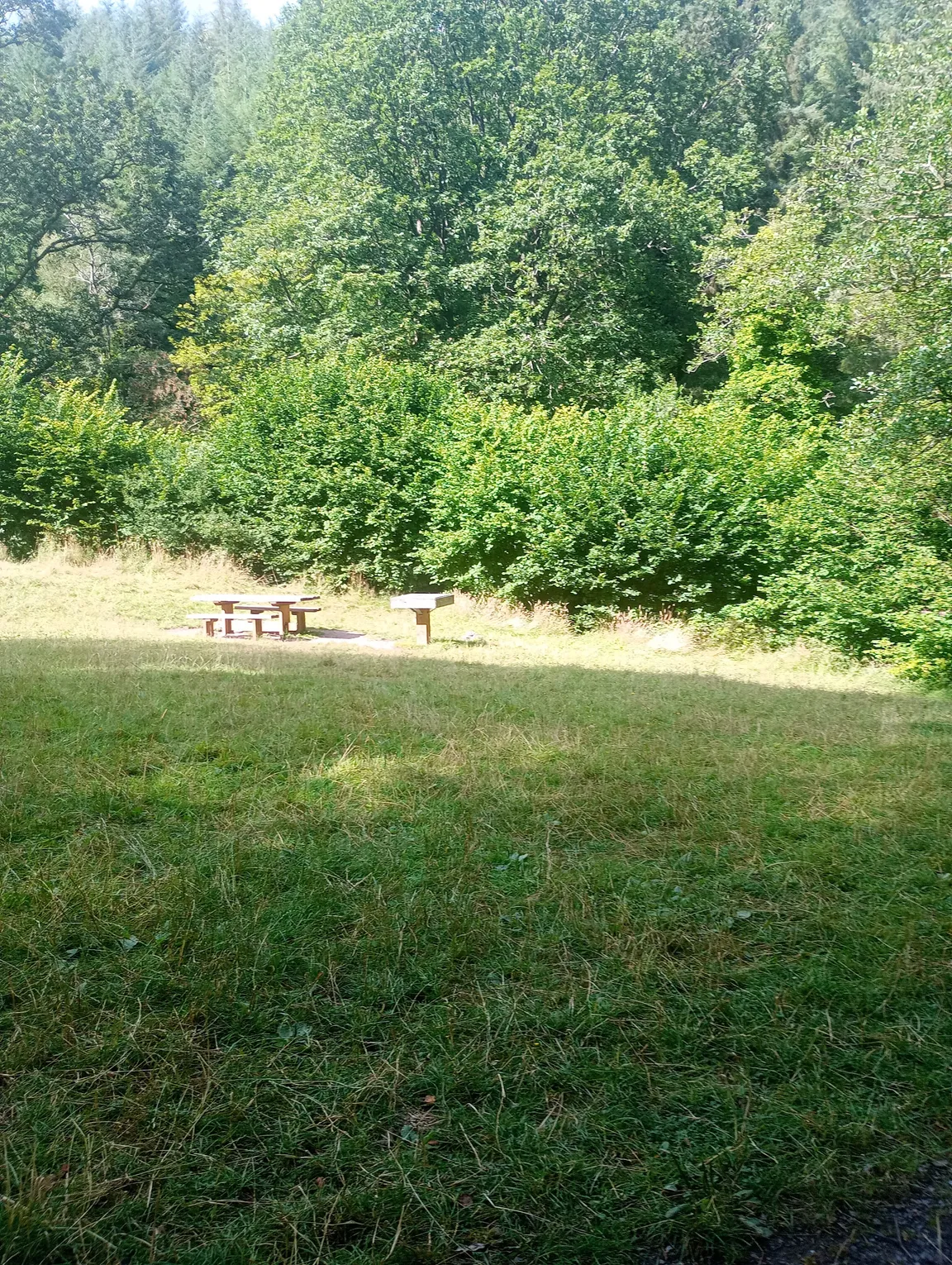 Ramscombe Great Wood