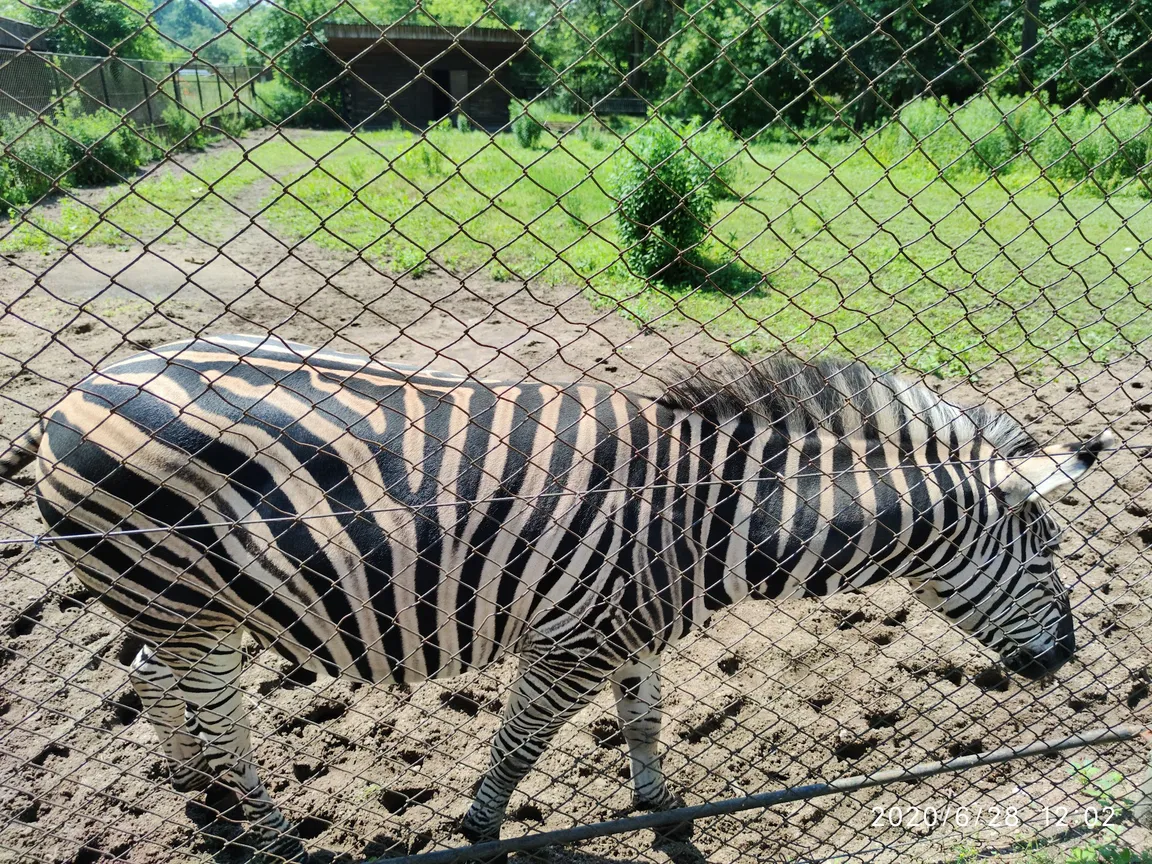 Ogród Zoologiczny w Bydgoszczy