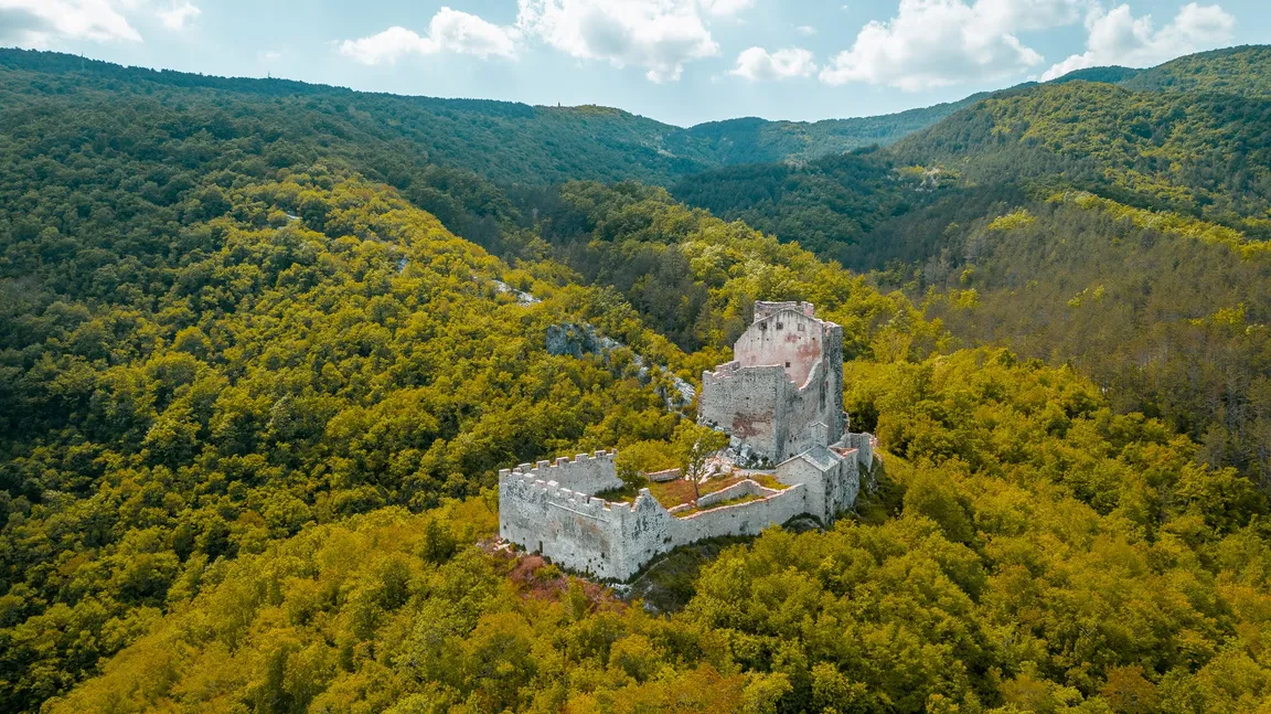 Zamek Petrapilosa