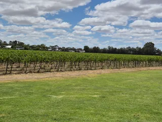 Morrisons Winery and Restaurant