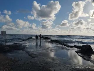 Coastal Boardwalk