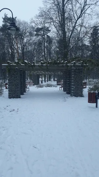 Wybieg dla psów