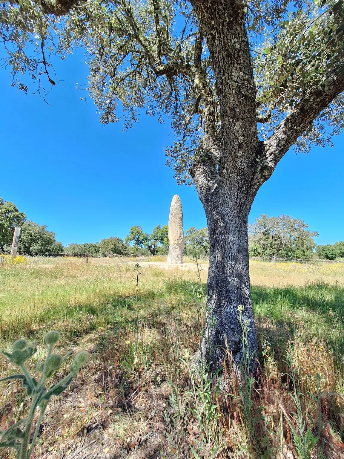 Menhir Meada