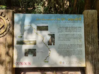 Trail No. 3 : 33th km – Nong Phak Chi Nature Trail