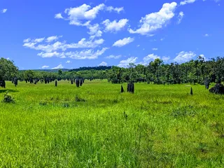 Litchfield National Park