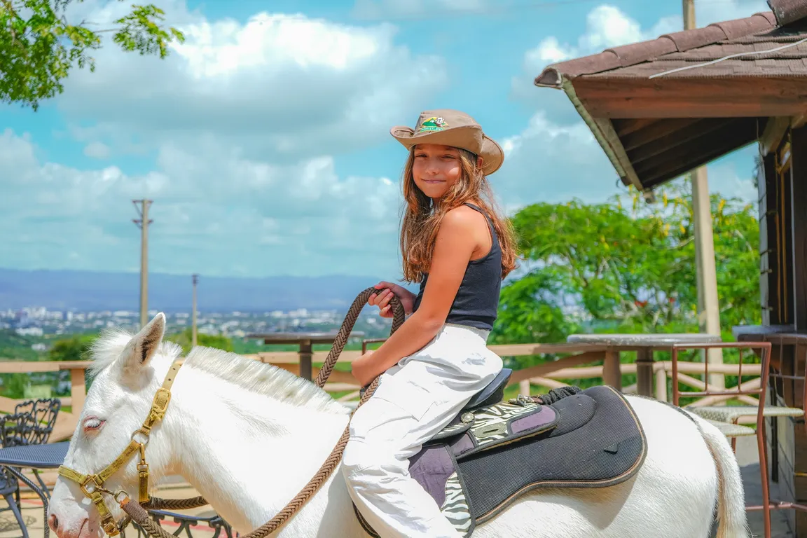 El Corral Paso Fino