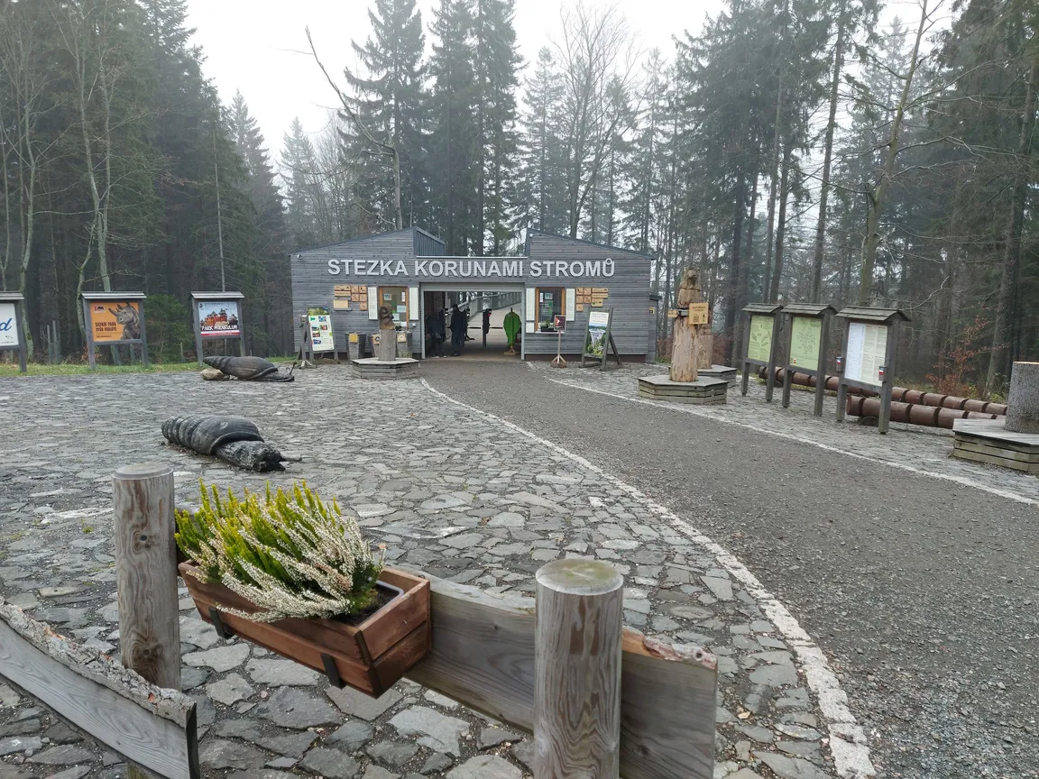 Ścieżka w koronach drzew Karkonosze