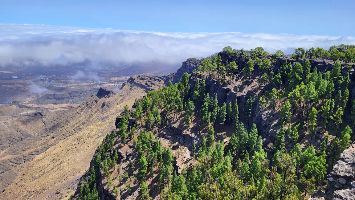 Mirador Llanos de La Mimbre