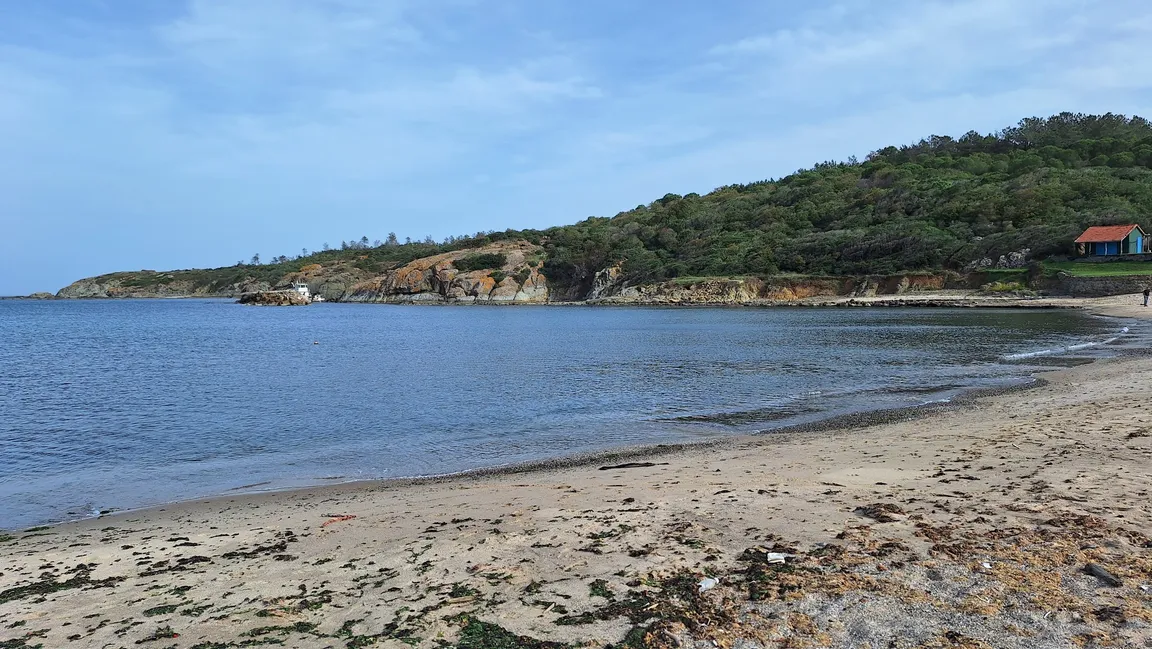 Uzunya Beach Restaurant