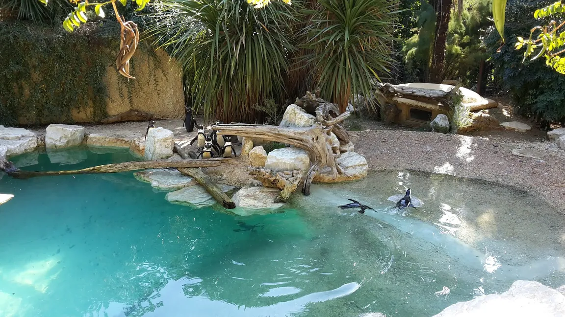 Zoo of Pistoia