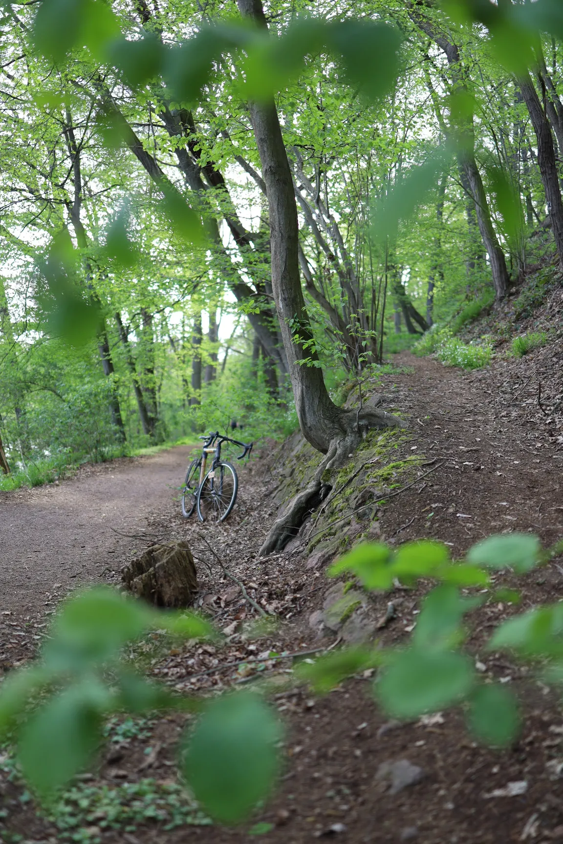 Mulderadweg