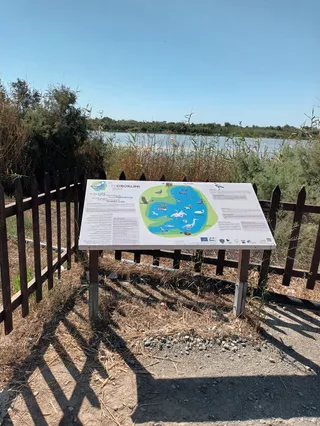 Flamingo spot