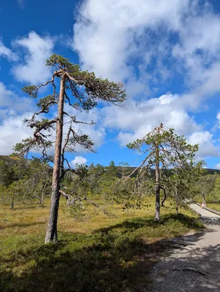 Park Narodowy Fulufjället