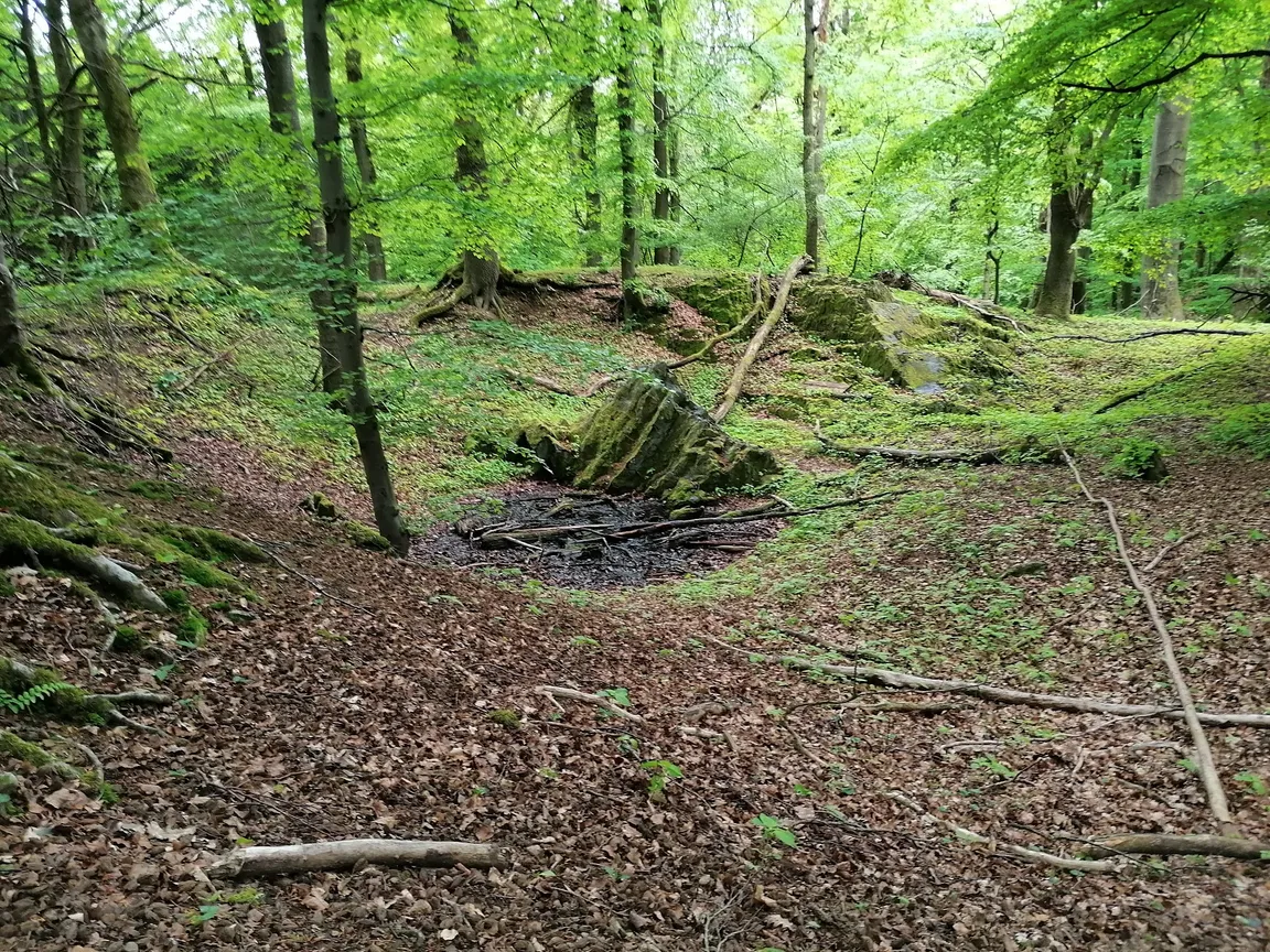 Beilstein
