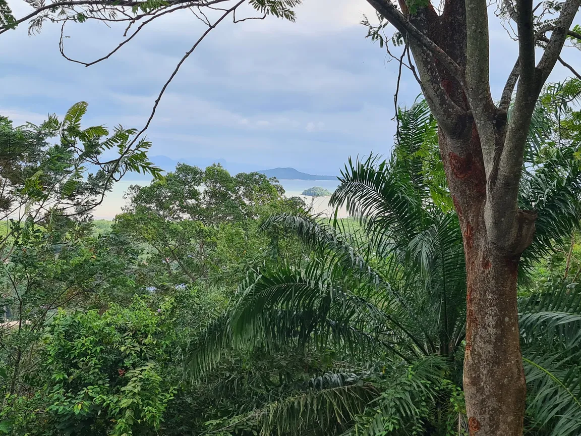 Viewpoint On The Bay