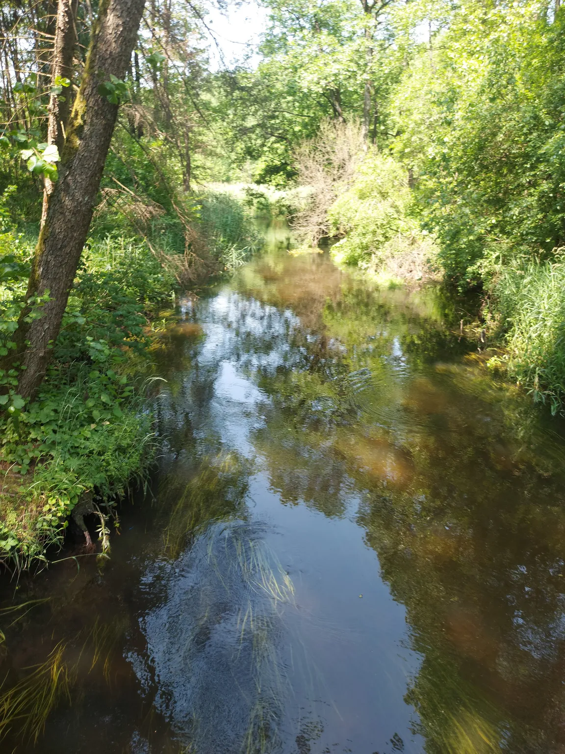 Wigierski Park Narodowy