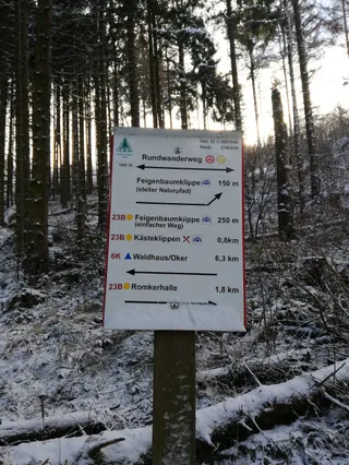 Feigenbaumklippe