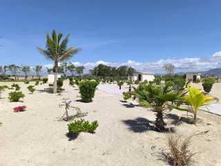 The Beach Bar & Restaurant
