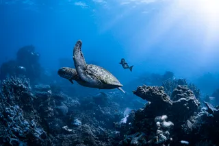 Coral Bay EcoTours