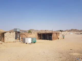 MAGIC SAFARI