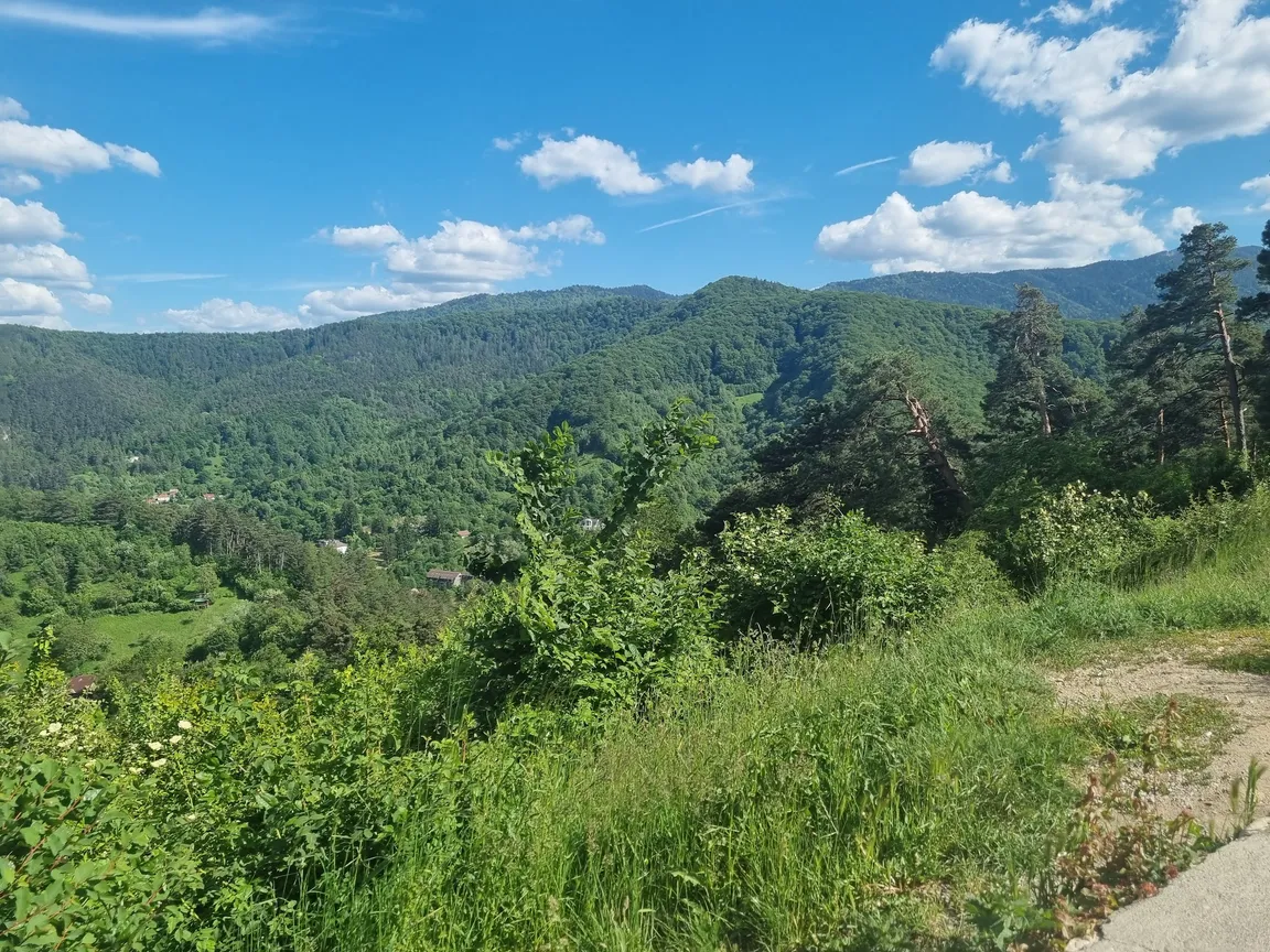 Promenada Roșiorilor