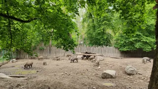 Gonsenheimer Wild Park