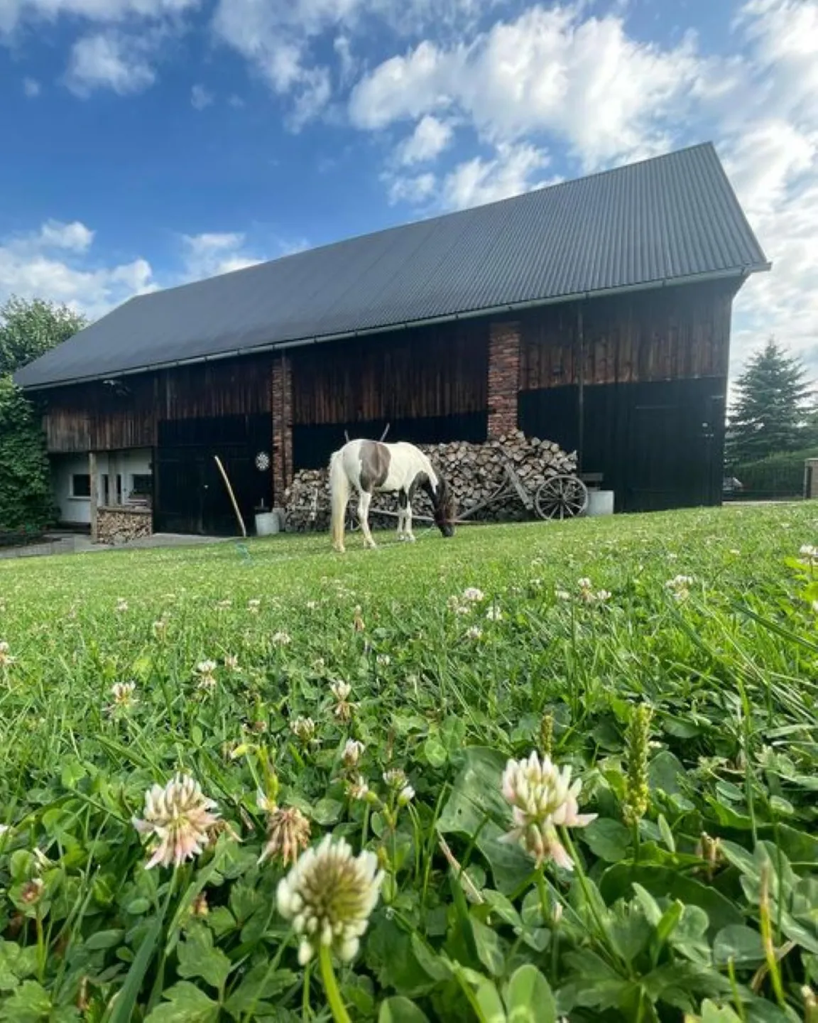 Agroturystyka - Zagroda Miłkowskie