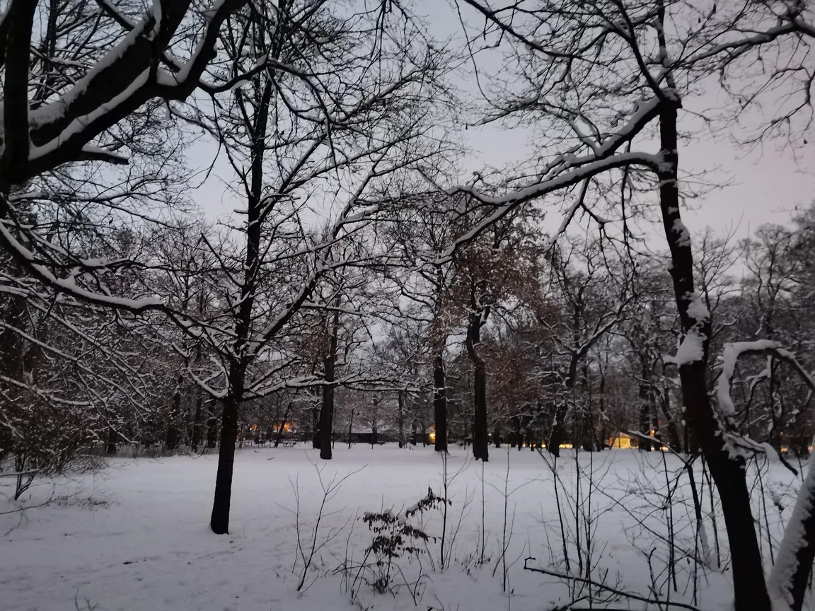 Hirschgarten