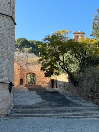 Monastery of Pedralbes