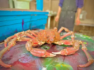 HC Seafood